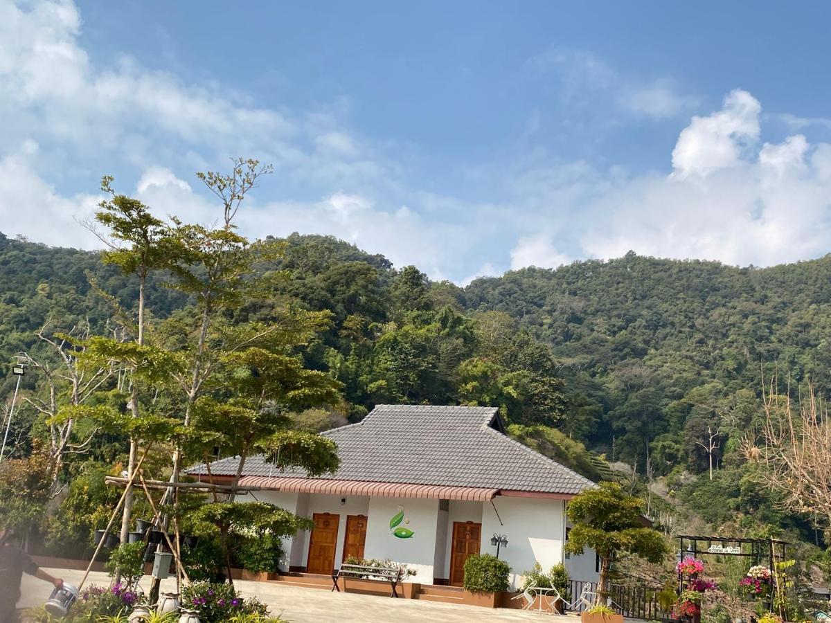 Thai Tea Garden Home チェンライ エクステリア 写真